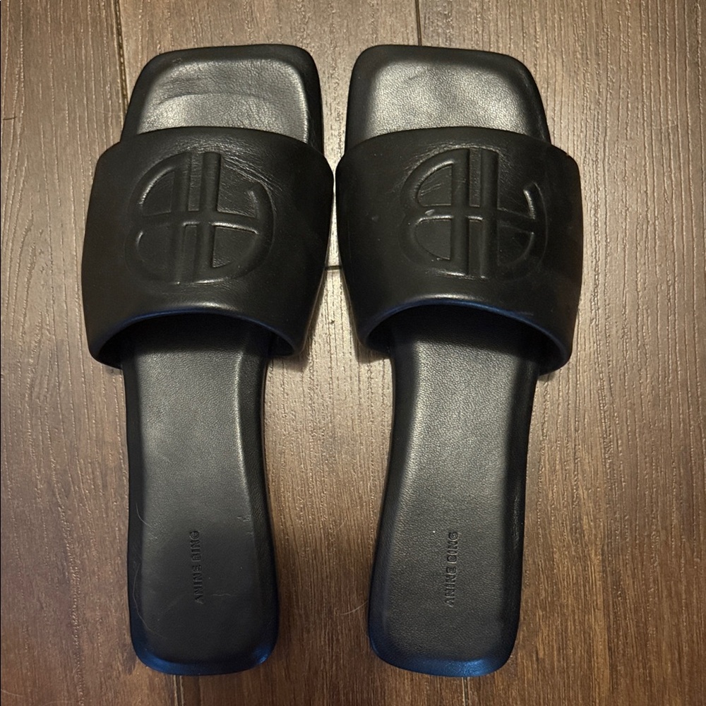 Anine Bing Ria Slides - Black Monogram